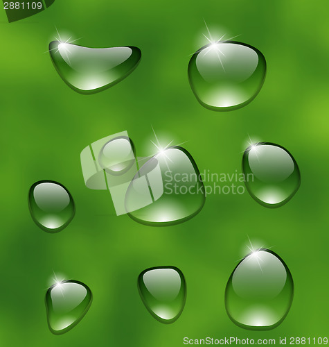 Image of Water drops on fresh green leaf 