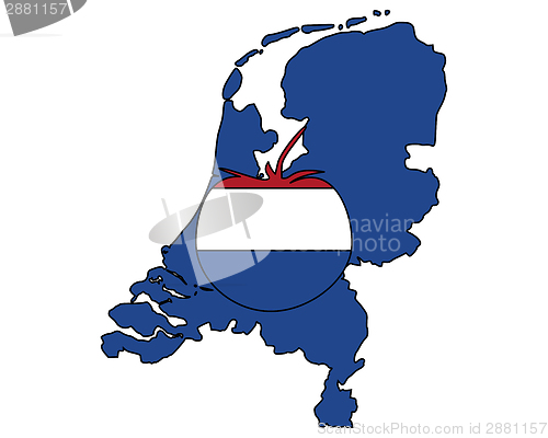 Image of Dutch tomato
