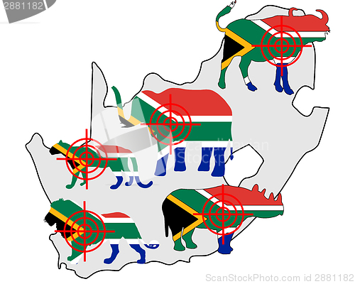 Image of Big Five South Africa cross lines