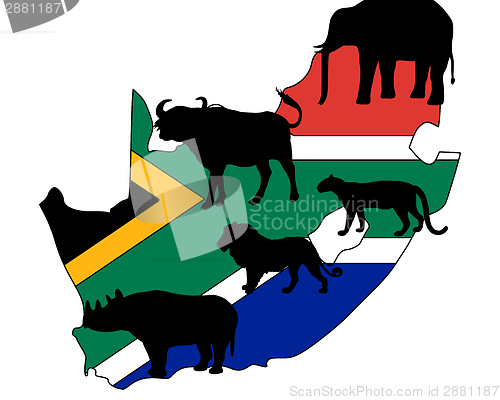 Image of Big Five South Africa 