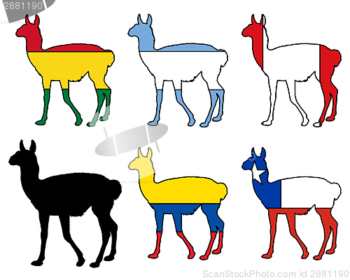 Image of Guanaco flags