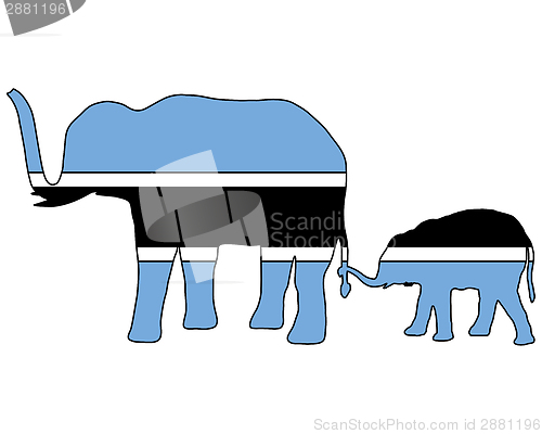 Image of Botswana elephants