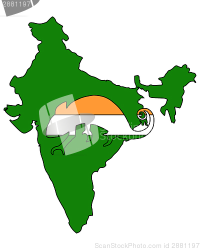 Image of India Chameleon