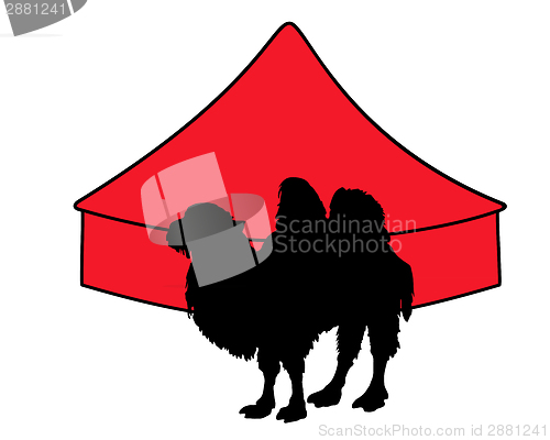Image of Bactrian Camel in circus 
