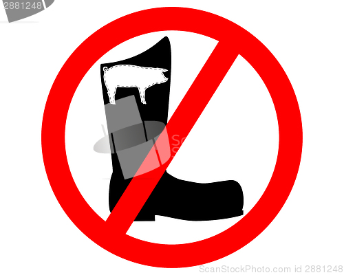 Image of No pigskin boots 