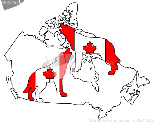 Image of Canadian howling wolves