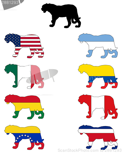 Image of Jaguar flags