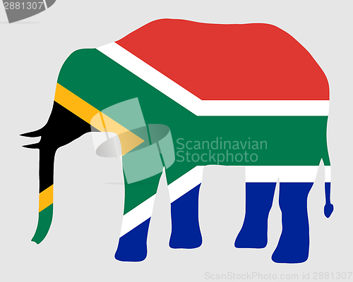 Image of Elephant with flag of south Africa