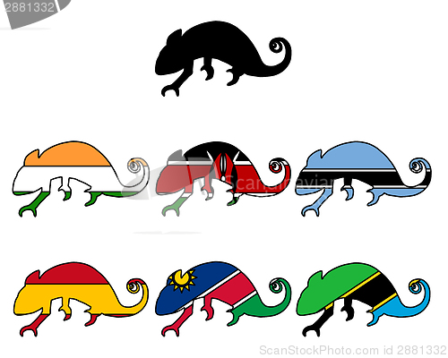 Image of Chameleon flags