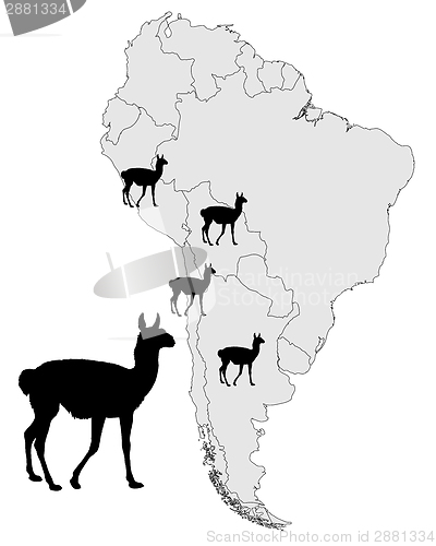 Image of Guanaco range map