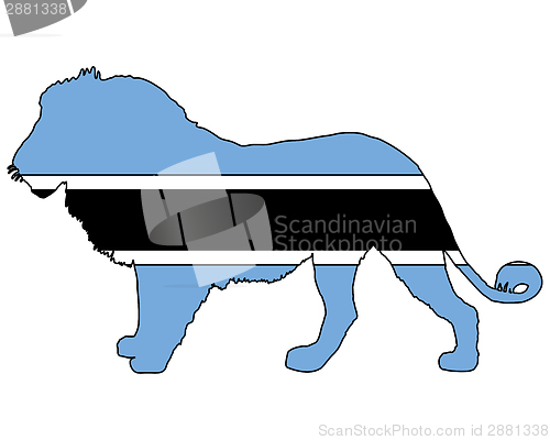 Image of Lion Botswana