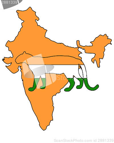 Image of India leopard