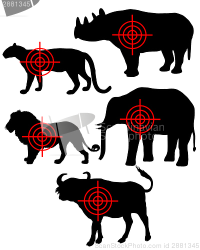 Image of Big Five cross hairs