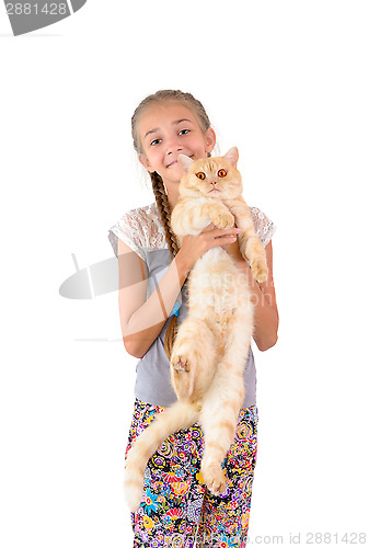 Image of The girl with a red cat