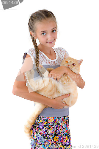 Image of The girl with a red cat