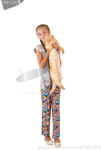Image of The girl with a red cat