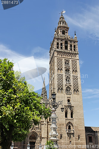 Image of La Giralda of Seville