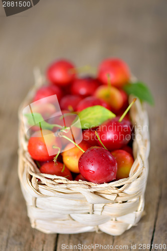 Image of cherry-plum in basket