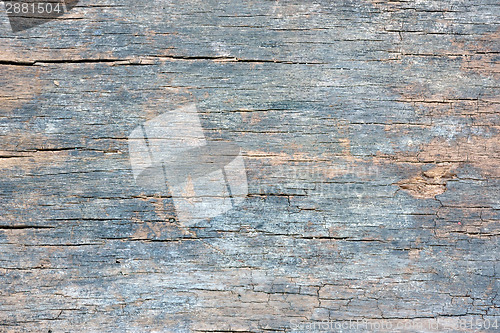 Image of old wood texture