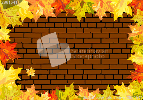 Image of Autumn maple background