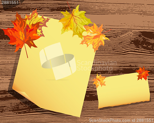 Image of Autumn maple background