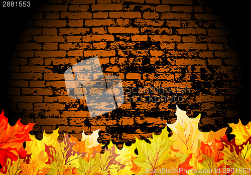 Image of Autumn maple background