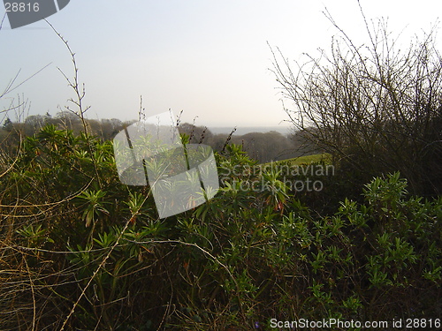 Image of Scotish landscape