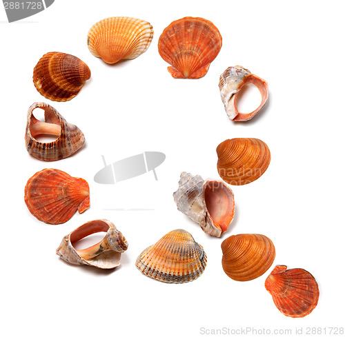 Image of Letter Q composed of seashells