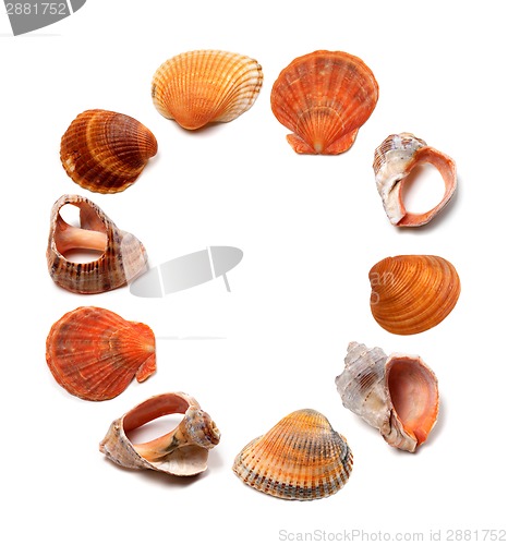 Image of Letter O composed of seashells