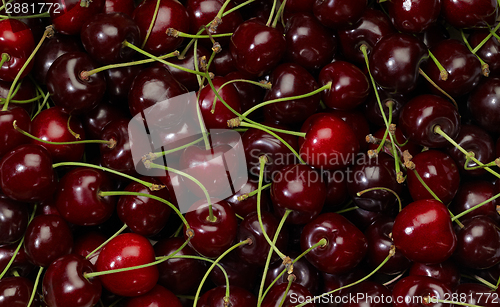 Image of cherry background