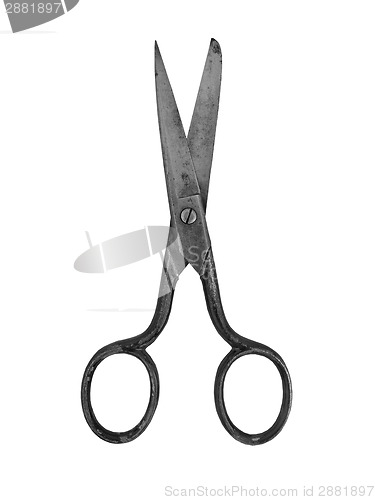 Image of vintage craft household scissors