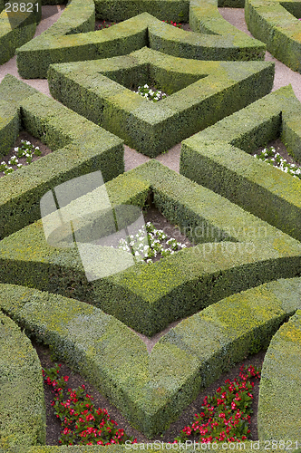 Image of Formal gardens at chateau, de, villandry, loire, valley, france