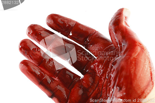 Image of Bloody hand