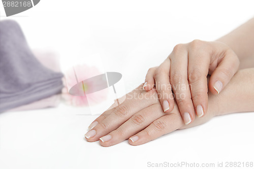 Image of Female hands after manicure
