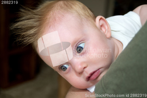 Image of An almost four month old baby girl on daddy's arm