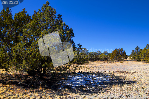 Image of El Malpais National Monument