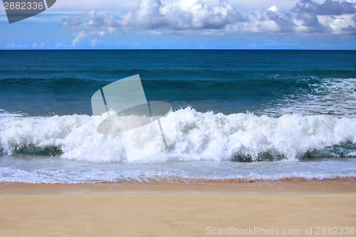 Image of At a Hawaiian beach