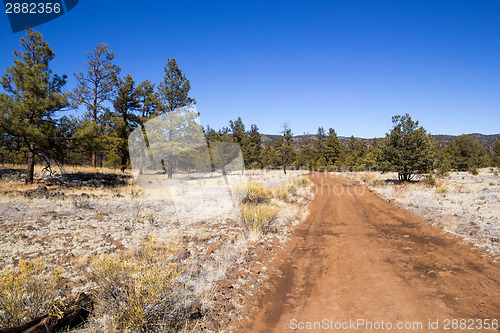 Image of El Malpais National Monument