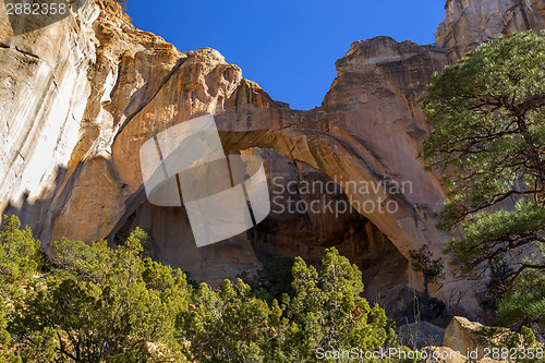 Image of El Malpais National Monument