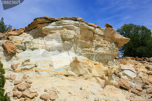 Image of At the Ojito Wilderness Area, New Mexico