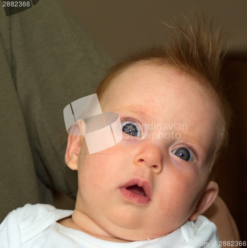 Image of An almost four month old baby girl on daddy's arm