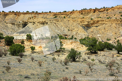 Image of At the Ojito Wilderness Area, New Mexico