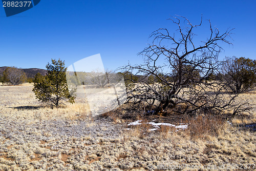 Image of El Malpais National Monument