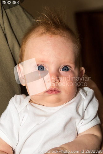 Image of An almost four month old baby girl on daddy's arm