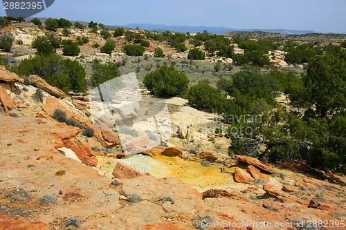 Image of At the Ojito Wilderness Area, New Mexico