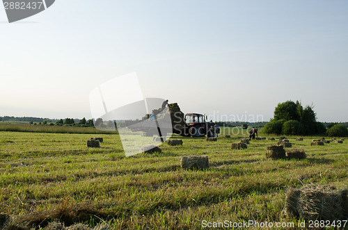 Image of farmers load dried hay straw bales to tractor 