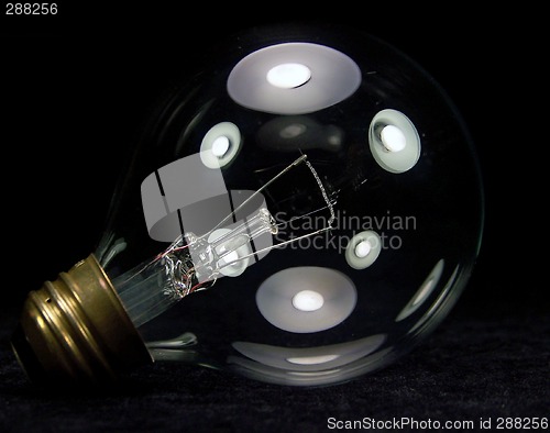 Image of Close Up of a Clear Light Bulb