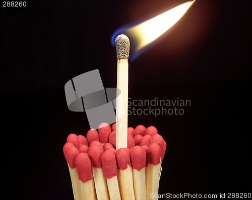 Image of Lit Match Sticking Out of Unlit Matches