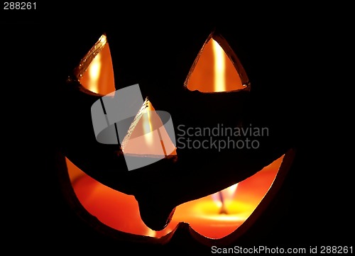 Image of Black Jack-O-Lantern