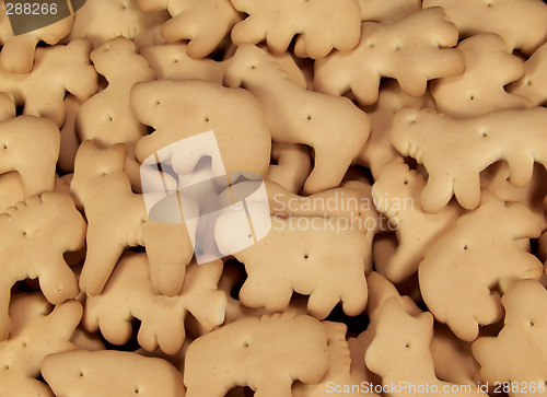 Image of Full Frame Photo of Animal Crackers